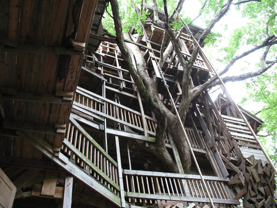 <strong>Maison sur l’arbre dans l’Etat du Tennessee<span><b>Architecture</span></strong><i>→</i>
