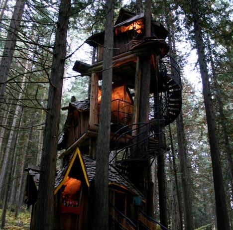<strong>Maison dans une forêt au Canada<span><b>Architecture</span></strong><i>→</i>