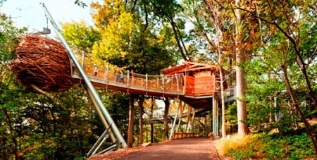 <strong>« L’Arbre des Aventures » de haut vol<span><b>Architecture</span></strong><i>→</i>
